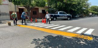 Refuerzan Seguridad Vial en la Calle Medellín Con Rehabilitación de Señalética y Pintura