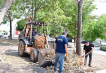 Funcionarios del Ayuntamiento de Colima Continúan Trabajando en Las Colonias Con Brigadas Integrales de Limpieza y Mantenimiento