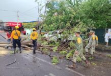 Atiende Ayuntamiento de Colima de Forma Oportuna Incidencias en Av. 20 de Noviembre, Placetas Estadio e Ignacio Sandoval