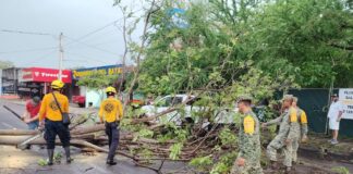 Atiende Ayuntamiento de Colima de Forma Oportuna Incidencias en Av. 20 de Noviembre, Placetas Estadio e Ignacio Sandoval