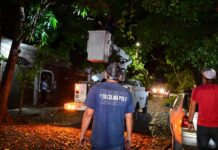 Gobierno de Riult Rivera, Realiza Poda de Arboles y Recolección de Ramas en Jardines de la Estancia