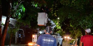 Gobierno de Riult Rivera, Realiza Poda de Arboles y Recolección de Ramas en Jardines de la Estancia