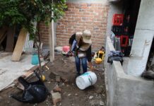 Salud Colima Exhorta a Reforzar Prevención Contra el Dengue en los Hogares
