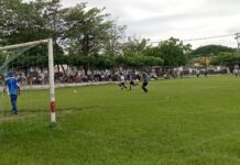Coyotes de Pueblo Juárez, Viveristas y Leones de Pueblo Juárez, en Busca de los Últimos Dos Boletos a la Liguilla