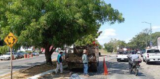 Gobierno de Riult Rivera Desazolva Alcantarillas de Avenida V. Carranza en la Capital