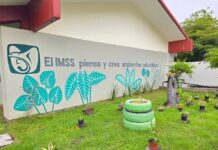 Promueve IMSS Colima el Cuidado del Medio Ambiente a Través de sus Centros de Seguridad Social