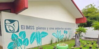 Promueve IMSS Colima el Cuidado del Medio Ambiente a Través de sus Centros de Seguridad Social