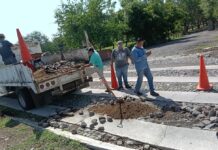 Colima Refuerza el Mantenimiento Vial; Rehabilitan Empedrados en Avenida Constitución