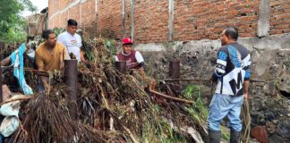 Atiende Ayuntamiento de Colima Labores de Limpieza y Desazolve en el Arroyo El Manrique Tras Intensas Lluvias