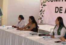 Partido Verde Ecologista de México PVEM Va Solo, No Va Con Morena en Colima: Virgilio Mendoza Amezcua