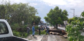 El equipo del Ayuntamiento de Colima Continúa Este Domingo Atendiendo de Manera Ininterrumpida Los Reportes Ciudadanos, Con el Objetivo de Restablecer la Normalidad y Mantener Despejadas Las Vialidades Del Municipio