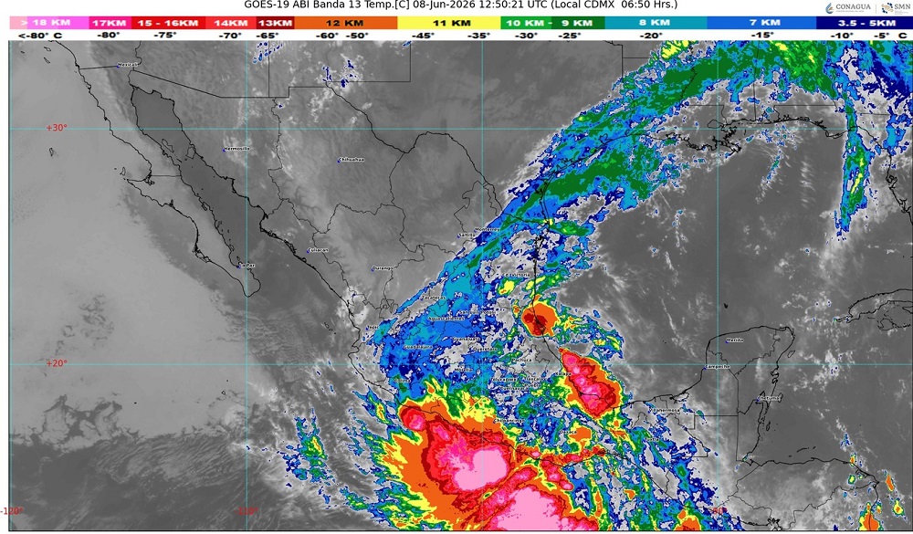 TORMENTATROPICALBORIS