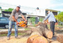 Trabajadores Sindicalizados del Ayuntamiento de Colima se Suman a Labores de Limpieza Tras la Borrasca de Este Sábado: Arturo León Alam