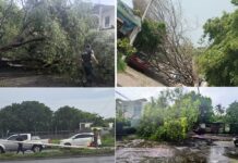 Tres Árboles y un Poste Caído, Saldo Preliminar Del Ventarrón en Villa de Álvarez