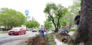 Cumple Riult Rivera Compromiso de Rehabilitar Carriles en Mal Estado en Avenida Ignacio Sandoval