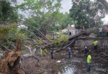 Siempre Atentos a la Denuncia de la Ciudadana: Ayuntamiento Atiende Árbol Caído Que Obstruía el Río Verde