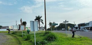 Continúan Labores Permanentes de Poda y Limpieza en Las Principales Avenidas de Colima