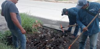 Cuadrillas de Mantenimiento Intensifican el Desazolve de Alcantarillas en Todo el Municipio de Colima
