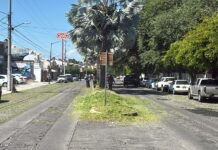 Intensifican Labores de Mantenimiento en Los Camellones de la V. Carranza, la Avenida de la Paz y Prolongación Av. 20 de Noviembre