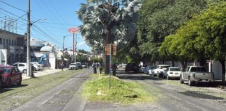 Intensifican Labores de Mantenimiento en Los Camellones de la V. Carranza, la Avenida de la Paz y Prolongación Av. 20 de Noviembre