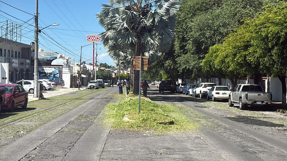 INTENSIFICANLABORES