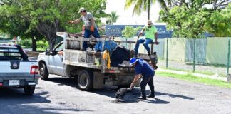 Gobierno de Riult Rivera Mantiene Programa Permanente de Bacheo en Las Principales Avenidas de Colima