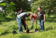 Más de Mil Árboles Han Sido Plantados Durante la Campaña Municipal de Colima “Reforestando Por Ti”