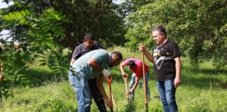 Más de Mil Árboles Han Sido Plantados Durante la Campaña Municipal de Colima “Reforestando Por Ti”