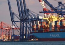 Moviliza Puerto de Manzanillo Más de 16 Millones de Toneladas en Primer Semestre Del Año