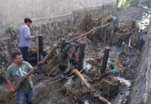 Refuerza Ayuntamiento de Colima Labores de Desazolve en el Río Manrique Para Prevenir Afectaciones Durante la Temporada de Lluvias