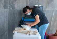 Salud Colima Exhorta a Prevenir Enfermedades en Animales Para Proteger a la Población
