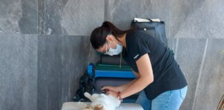 Salud Colima Exhorta a Prevenir Enfermedades en Animales Para Proteger a la Población